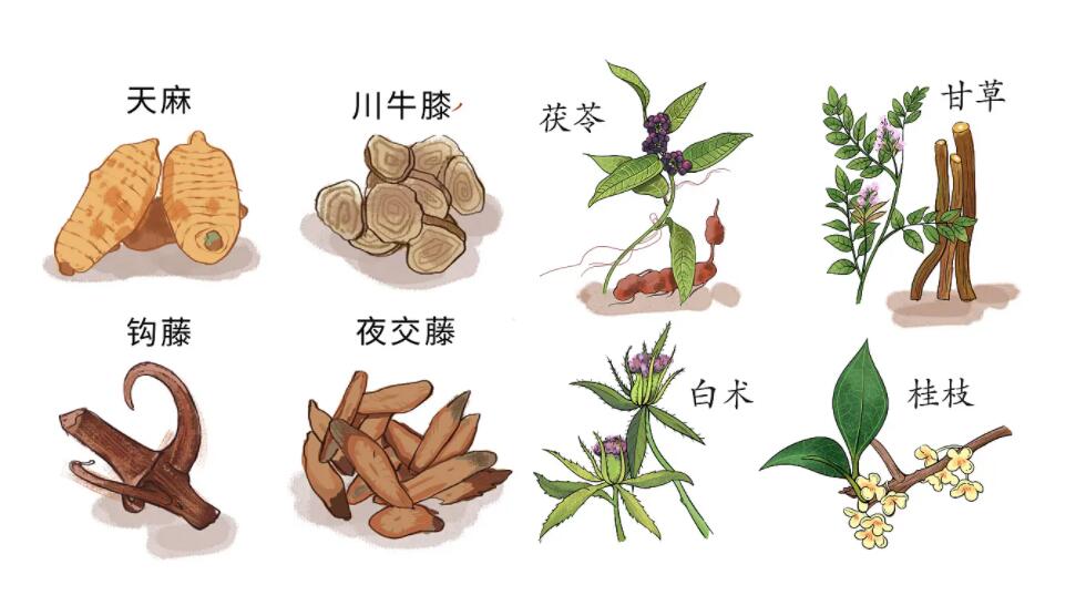 12000種中草藥大全名稱(chēng)